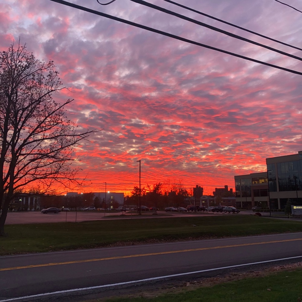 Meet your Posher, Bella